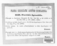 Puccinia agrostidis image